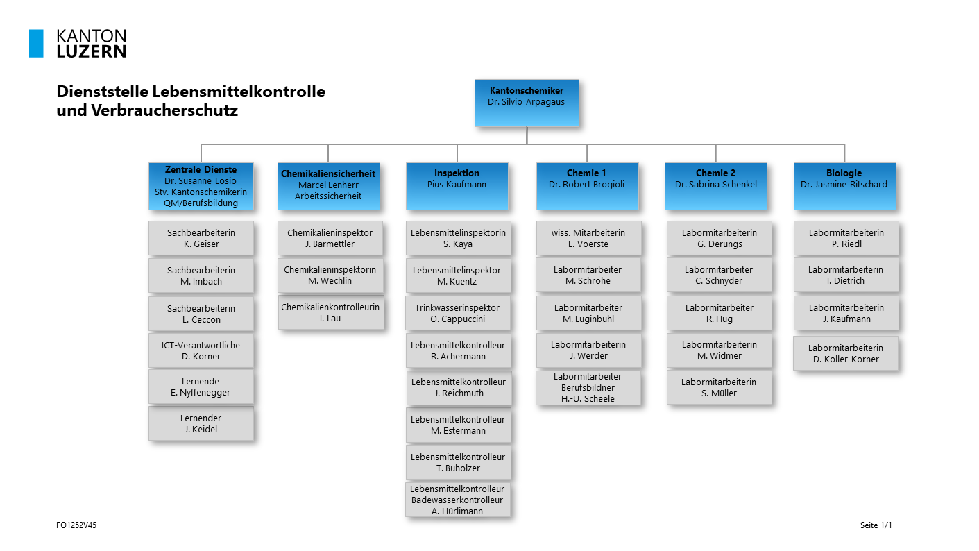 Organigramm